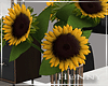H. Sunflowers
