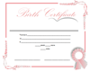 Twin Birth Certificate