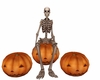 pumkin seat plus skelton