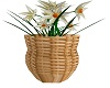 Standing Flower Basket