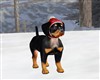 X-Mas Rottweiler Puppy
