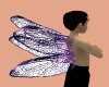 purple dragonfly wings