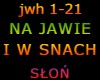 NA JAWIE I W SNACH