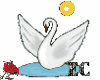 Swan animated