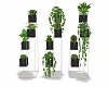 COUNTRY GROUP PLANTS