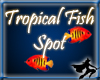 Tropical Fish Spot