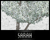 4K .:Snow Tree:.