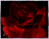*B*Blood Rose Sticker