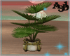 A3D* Bamboo Plant