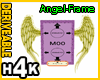 H4k Angel Wing frame