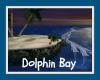 ~SB Feed the Dolphins