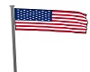 AAP-USA Flag Animated
