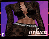 TRANSPARENT SEXY NIGHT