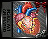 [A] Human Heart Animated
