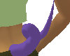 purple pig tail