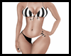 Sexy Stripe Bikini