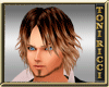 *TR* Blond Brown Mix Hai