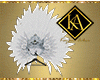 Feather Crown