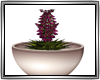 ST:flower pot:derivable