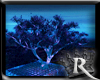 Blue Moon Tree *bblv