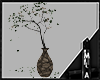 [MLA] Plantes mv 