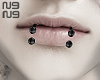 ╋━ snakebites v2 !
