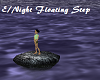 E/Night Floating Garden