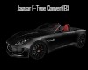 Jaguar F-Type Convert(B)