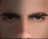 Ϩ| Yemil brows