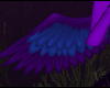 Ultra Violet wings V2