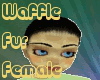 [R3] Waffle Bundle F