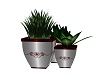 Silver & Red Planter