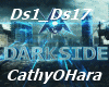Alan Walker-Darkside