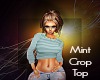 *S* Mint Crop Top