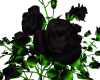 Rose Bush [black]