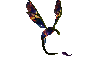 AMALI DRAGON