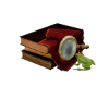 book frog