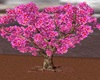 ! PLUMERIA TREE
