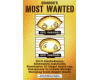 Quahog's Most wanted