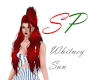 (SP) Whitney Sun (Custm)