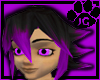 black/purple devilcat