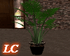 LC-Fall PlantV2