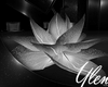 :YL: FiDo Lotus
