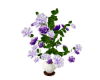 Animated Roses in Vase