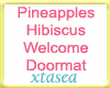 Tropical Pineapl Doormat