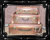 .:D:.Litle Suitcases