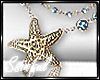 Ss✘Starfish Necklaces