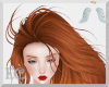 EC| Hermiqia Ginger