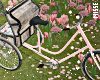 n| Yard-Bike Pink
