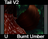 Burnt Umber Tail V2